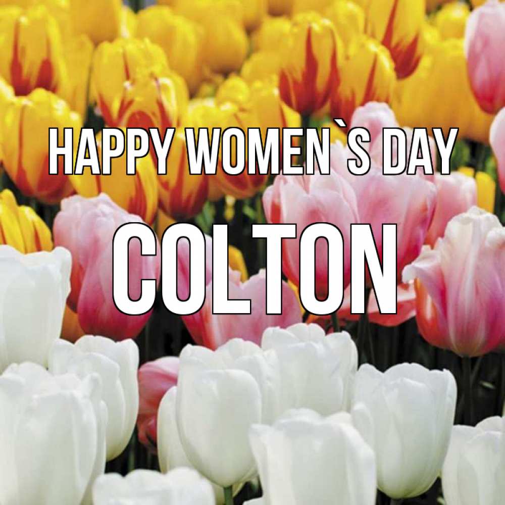 Greetings card с именем, Colton happy women`s day разноцветные цветы Greetings with text for free download 
